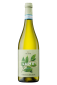 iLauri - Lume Trebbiano d'Abruzzo