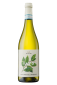 iLauri - TAVO Pinot Grigio