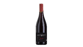 32900010000000_30000