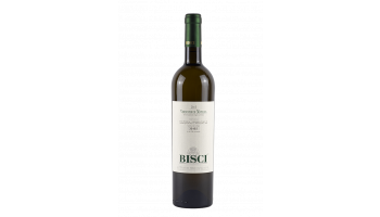 Bisci - Verdicchio di Matelica