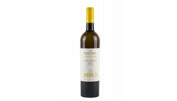 Bisci - Vigneto Fogliano Verdicchio di Matelica