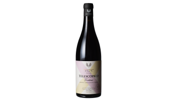 Bodegas Frontonio - Telescopico Old Vines Garnacha