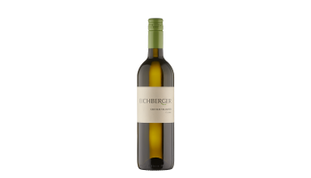 Weingut Eichberger - Grüner Veltliner Classic