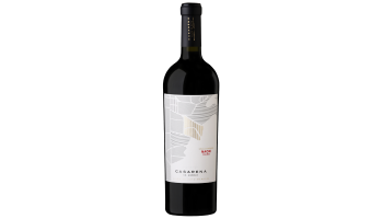 Casarena - Malbec Naoki Single Vineyard