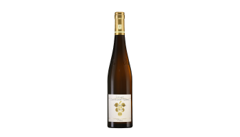 Witte wijn Rebholz - Im Sonnenschein Riesling GG Rheinland-Pfalz