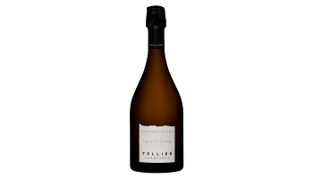 Tellier Champagne - Vignes de Pierry Extra Brut 1er Cru