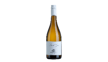 Witte wijn Villa Wolf - Pinot Gris Rheinland-Pfalz