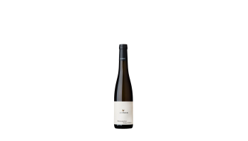 Weingut Loimer - Beerenauslese Gruner Veltliner 1/2 