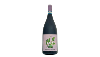 iLauri - Bajo Montepulciano d'Abruzzo Magnum