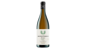 Bodegas Frontonio - Microcosmico Old Vines Macabeo