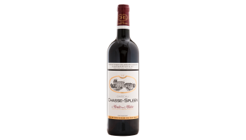 Chateau Chasse-Spleen Moulis en Medoc Bordeaux 
