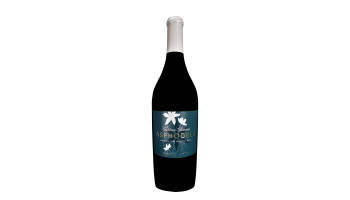 Witte wijn Château Climens - Asphodèle Semillon Bordeaux Frankrijk