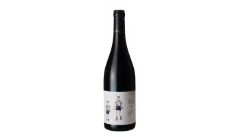 Rode wijn Domaine La Mariniere - Chinon La Mariniere Loire