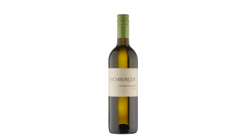 Weingut Eichberger - Grüner Veltliner Classic