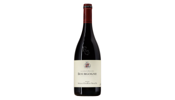 Domaine Robert Groffier - Bourgogne Pinot Noir Les Jardins de Léa & Marie
