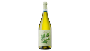 iLauri - Lume Trebbiano d'Abruzzo