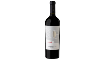Casarena - Cabernet Franc Lauren's Single Vineyard