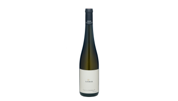 Witte wijn Loimer - Grüner Veltliner Käferberg Oostenrijk Kamptal