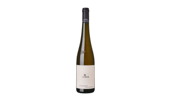 Weingut Loimer - Loiserberg G. Veltliner Riesling 1e Lage Organic