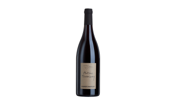 Rode wijn Sanzay - Saumur Champigny Loire Frankrijk