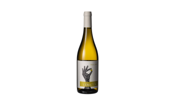 Vigna Lenuzza - Friulano