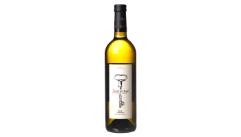 Sattlerhof - Ried Trinkaus Sauvignon Blanc